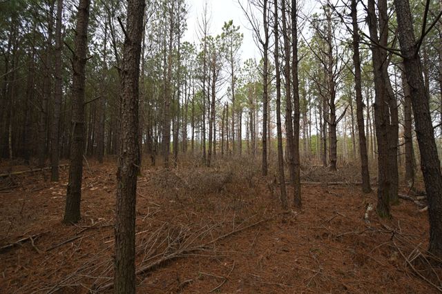 3105 Waynesboro Hwy, Hohenwald, TN 38462