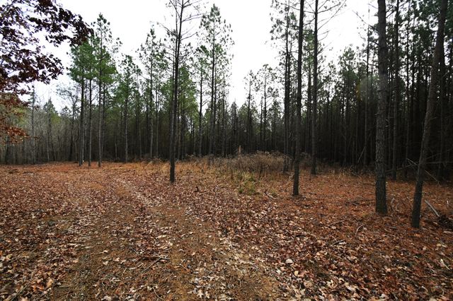 3105 Waynesboro Hwy, Hohenwald, TN 38462