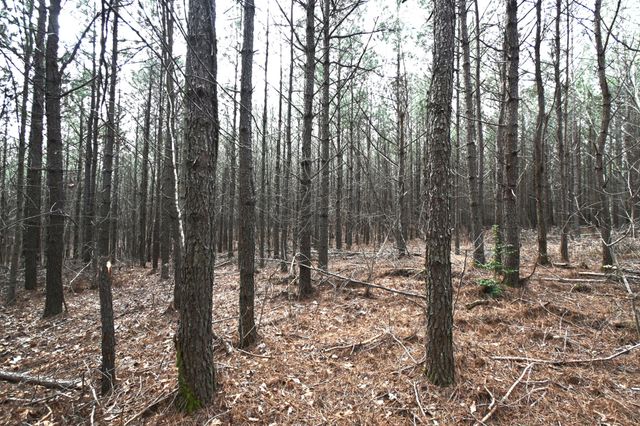 3105 Waynesboro Hwy, Hohenwald, TN 38462