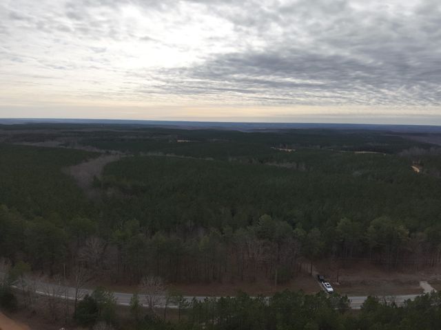 3105 Waynesboro Hwy, Hohenwald, TN 38462