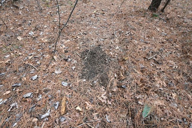 3105 Waynesboro Hwy, Hohenwald, TN 38462