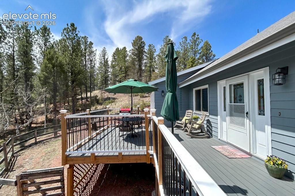 83 Pika Creek Trail, Florissant, CO 80816 — photo 3