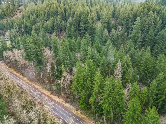 15202 WASHOUGAL RIVER Rd, Washougal, WA 98671