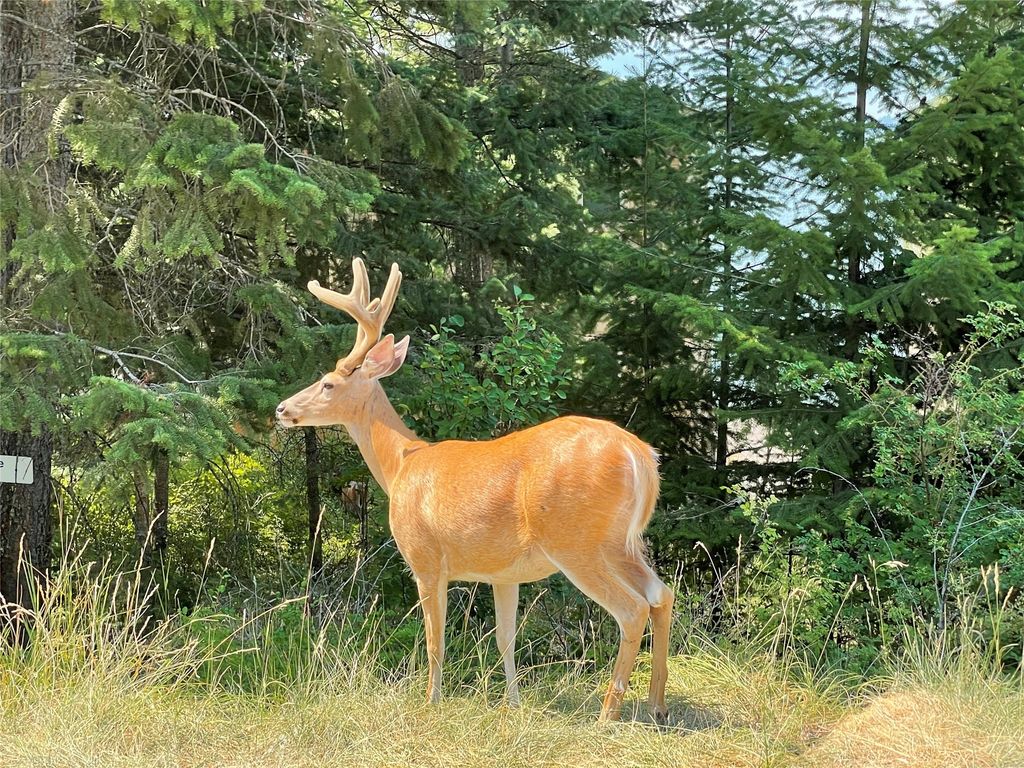 151 Whisper Ridge Drive, Bigfork, MT 59911 photo 42