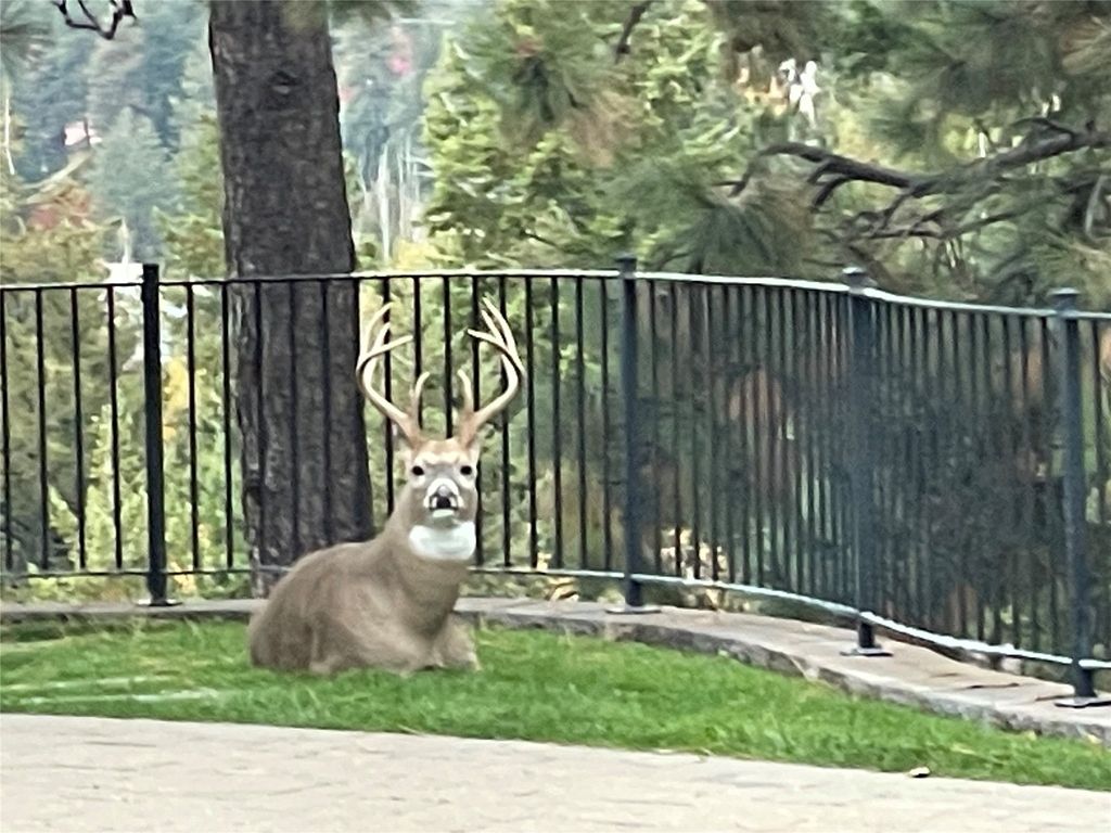 151 Whisper Ridge Drive, Bigfork, MT 59911 photo 43