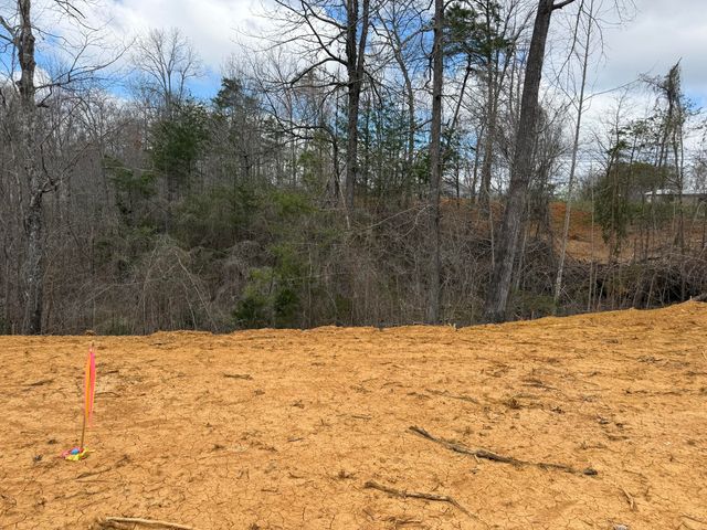Lot 5 Phase 2 Stearns Hollow Road, Monticello, KY 42633