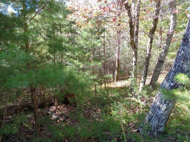 2474 Wedgewood Drive, Big Canoe, GA 30143