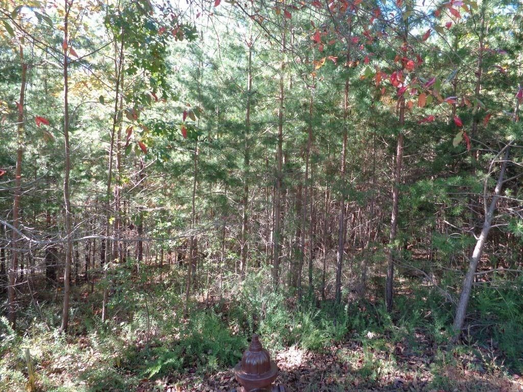 2474 Wedgewood Drive, Big Canoe, GA 30143