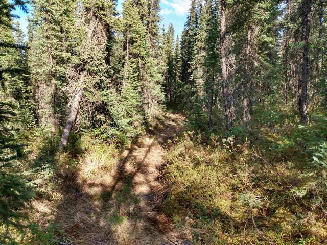 NHN ELLIOTT HIGHWAY, Fairbanks, AK 99712