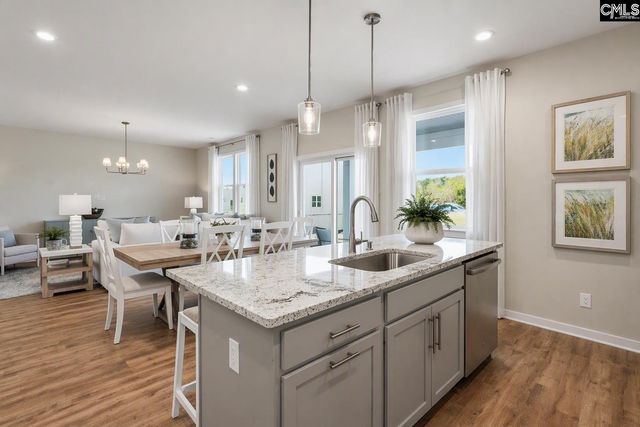 715 Top Line Street, Chapin, SC 29036