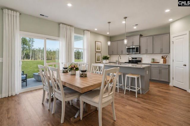 715 Top Line Street, Chapin, SC 29036