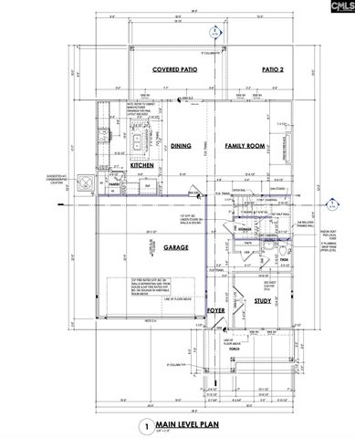 715 Top Line Street, Chapin, SC 29036