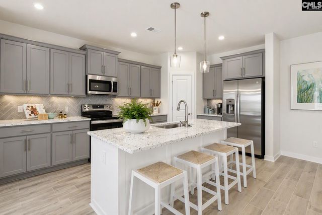 715 Top Line Street, Chapin, SC 29036