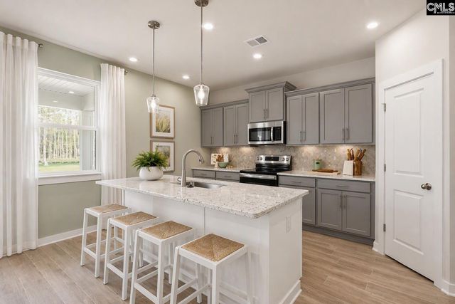 715 Top Line Street, Chapin, SC 29036