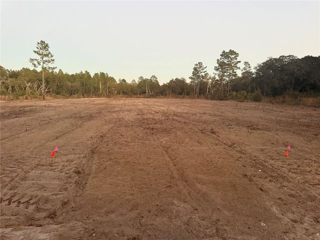 7251 NE 105TH AVENUE, Bronson, FL 32621