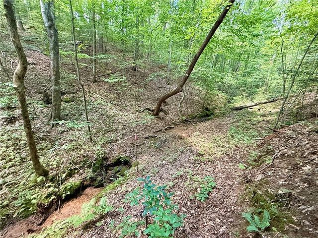 79 River Overlook Lane S, Ellijay, GA 30540