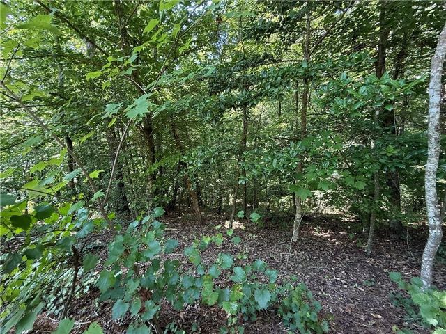 79 River Overlook Lane S, Ellijay, GA 30540