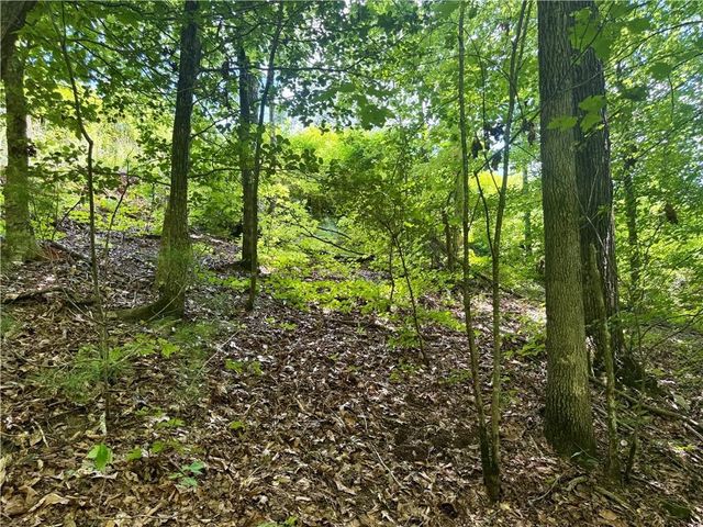 79 River Overlook Lane S, Ellijay, GA 30540