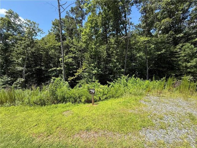 79 River Overlook Lane S, Ellijay, GA 30540