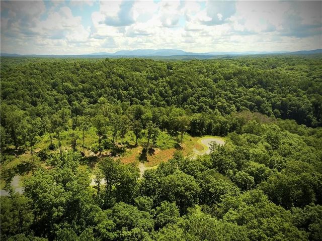 79 River Overlook Lane S, Ellijay, GA 30540