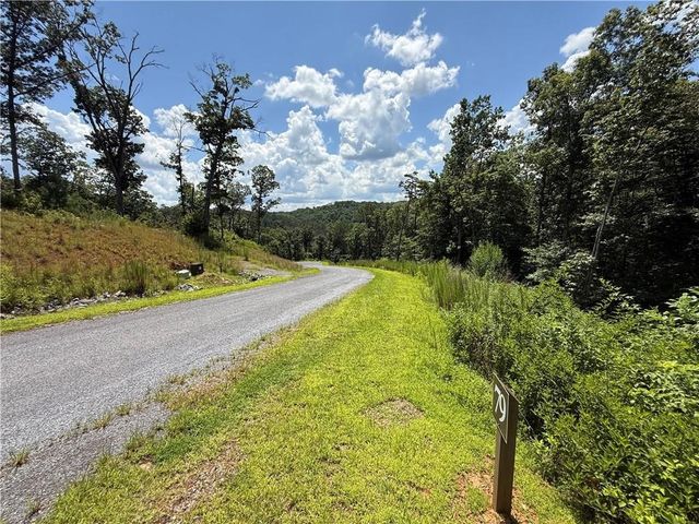 79 River Overlook Lane S, Ellijay, GA 30540