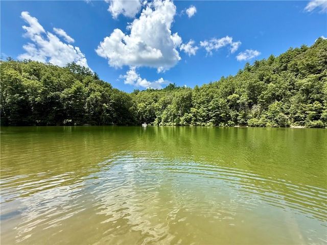 79 River Overlook Lane S, Ellijay, GA 30540