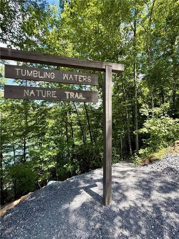 79 River Overlook Lane S, Ellijay, GA 30540