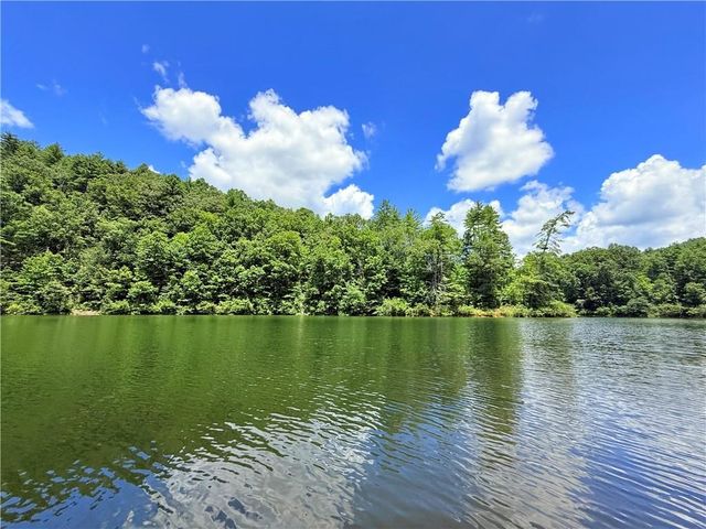 79 River Overlook Lane S, Ellijay, GA 30540