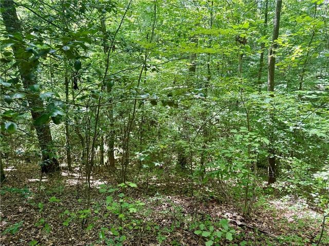 79 River Overlook Lane S, Ellijay, GA 30540