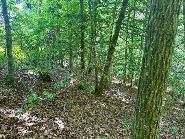 79 River Overlook Lane S, Ellijay, GA 30540