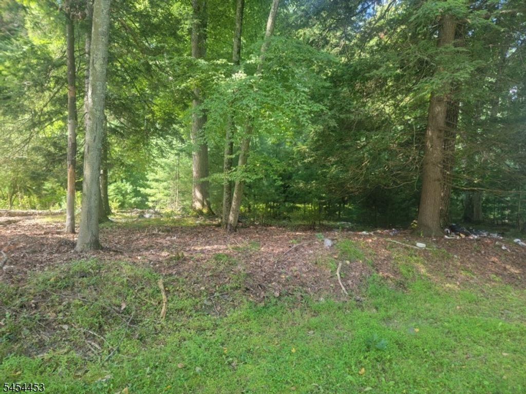 356 Rolling Ridge Rd, Montague Twp., NJ 07827 — photo 2
