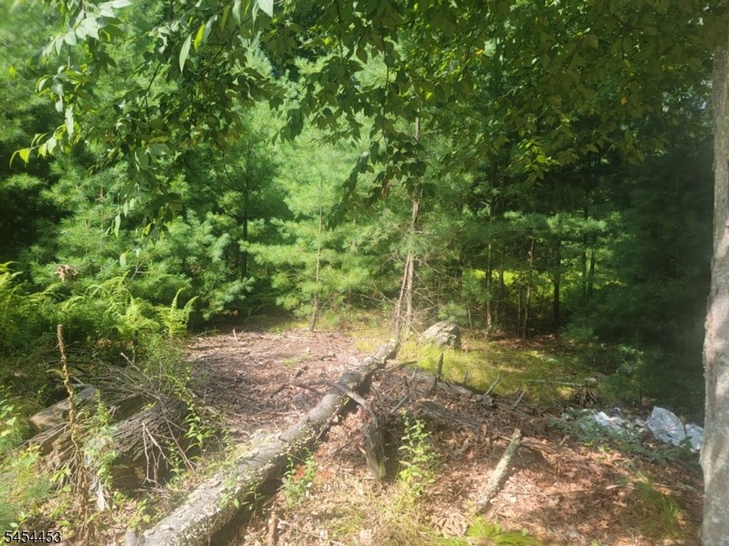 356 Rolling Ridge Rd, Montague Twp., NJ 07827 — photo 3