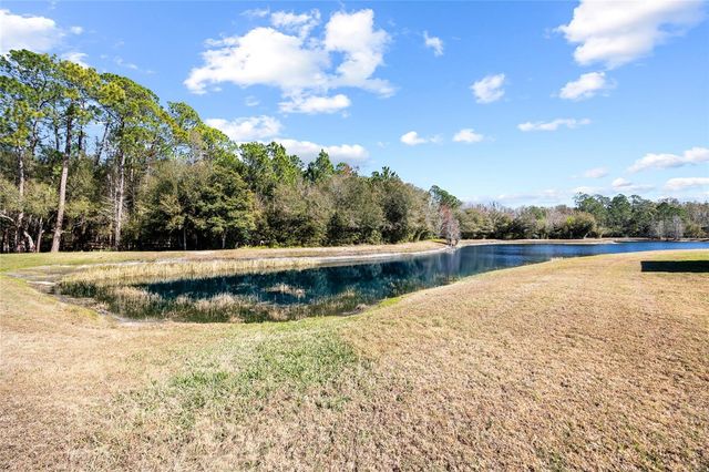 1118 WRIGHT SWYNDE COURT, Wesley Chapel, FL 33543