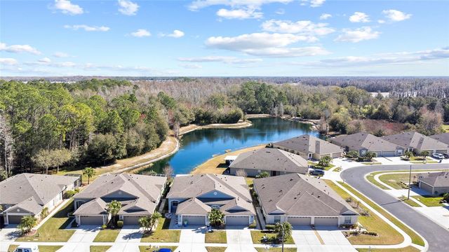 1118 WRIGHT SWYNDE COURT, Wesley Chapel, FL 33543