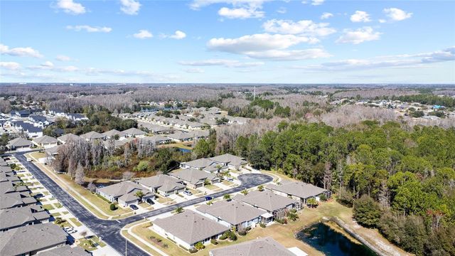 1118 WRIGHT SWYNDE COURT, Wesley Chapel, FL 33543