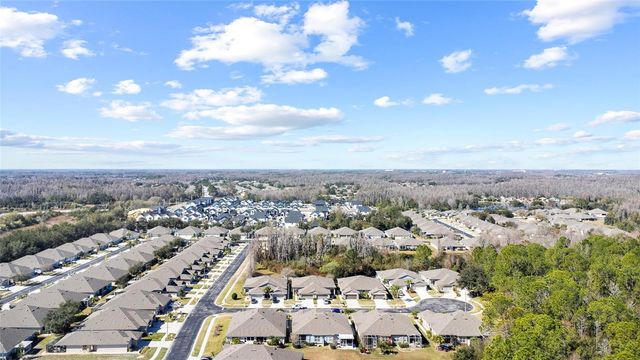 1118 WRIGHT SWYNDE COURT, Wesley Chapel, FL 33543