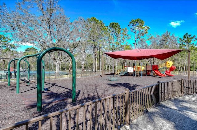 1118 WRIGHT SWYNDE COURT, Wesley Chapel, FL 33543