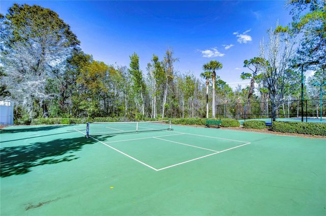1118 WRIGHT SWYNDE COURT, Wesley Chapel, FL 33543