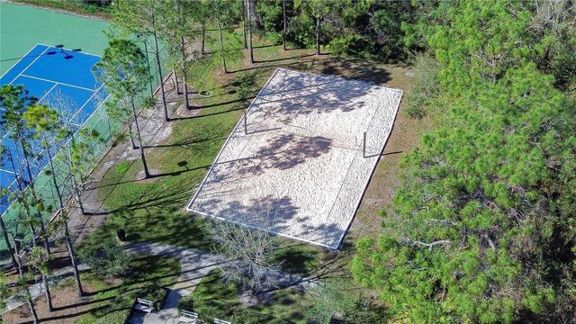 1118 WRIGHT SWYNDE COURT, Wesley Chapel, FL 33543