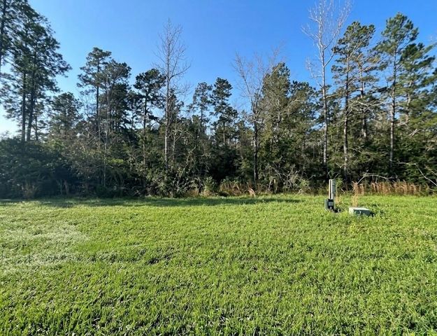 39 Coyote Run, New Waverly, TX 77358