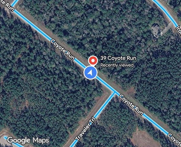 39 Coyote Run, New Waverly, TX 77358