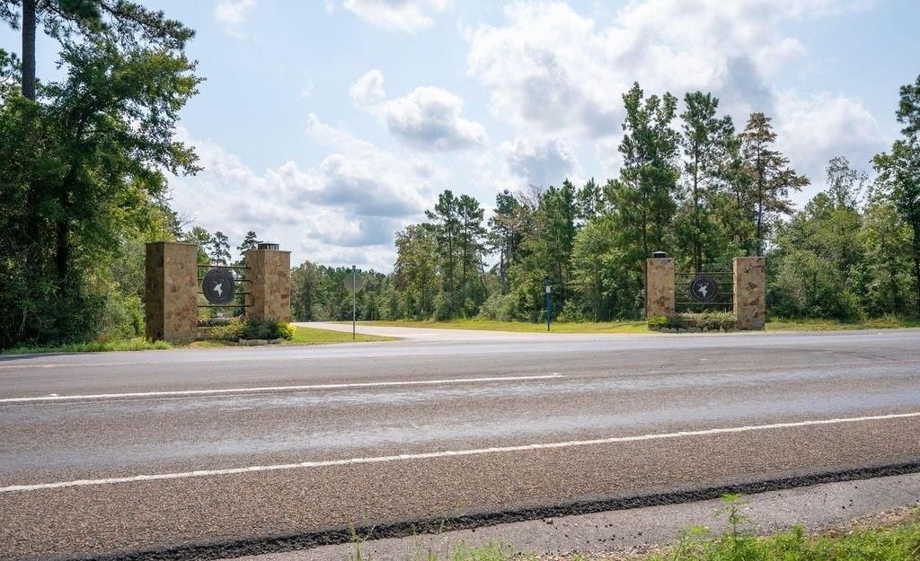 39 Coyote Run, New Waverly, TX 77358