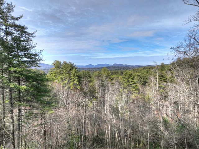 71 Rising Fawn Drive, Mineral Bluff, GA 30559