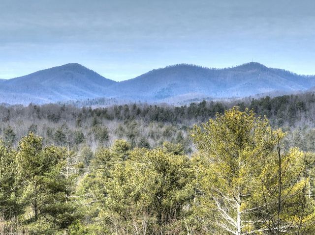 71 Rising Fawn Drive, Mineral Bluff, GA 30559