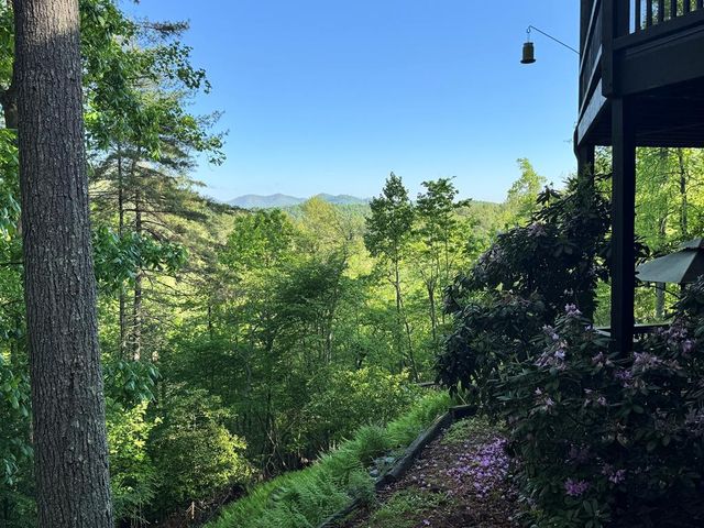 71 Rising Fawn Drive, Mineral Bluff, GA 30559