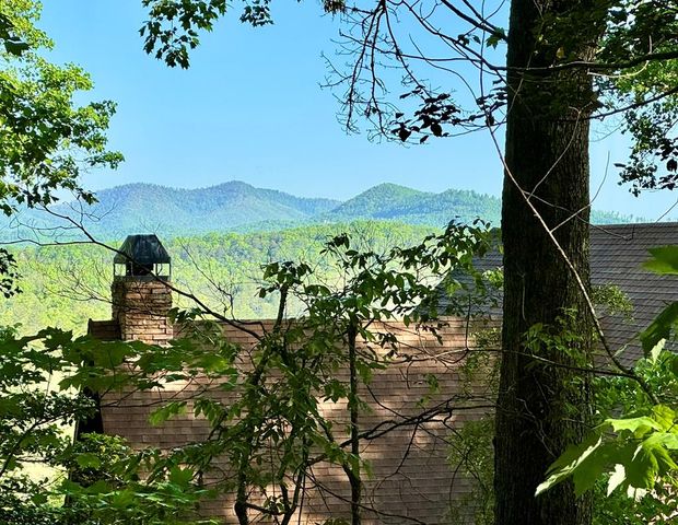 71 Rising Fawn Drive, Mineral Bluff, GA 30559