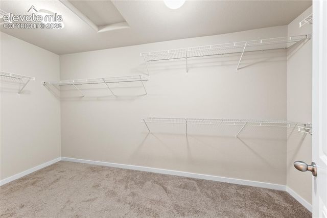 9728 Wando Drive, Colorado Springs, CO 80925