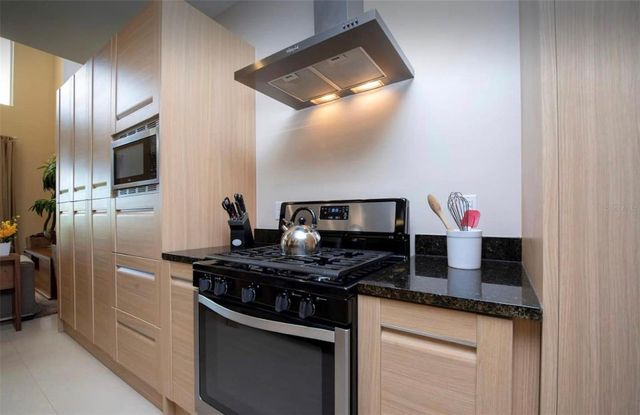 3229 BRASILIA AVENUE, Kissimmee, FL 34747