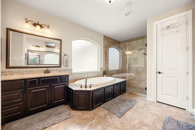 19407 Sanctuary Rose Bud Lane, Spring, TX 77388
