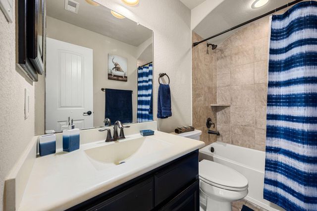 19407 Sanctuary Rose Bud Lane, Spring, TX 77388